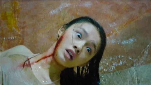 我要看美人鱼视频,探寻美人鱼传奇的奇幻之旅