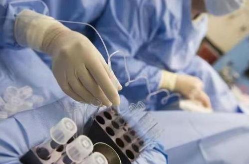 试管婴儿的视频,从视频看生命诞生的奇迹