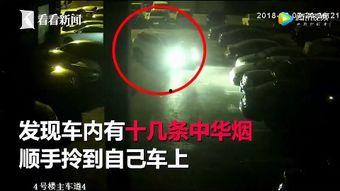 抢盗视频,警方全力追捕