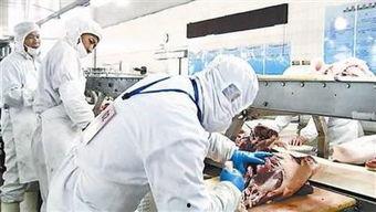 剔骨工视频,视频带你领略传统技艺之美