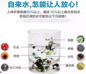 放心水视频,守护家庭饮水健康的秘密武器