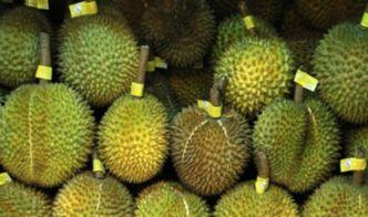 榴莲视频l,揭秘网红美食背后的故事