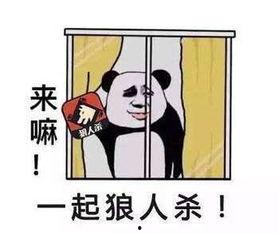 狼人杀比赛视频,揭秘精彩对决背后的策略与智慧