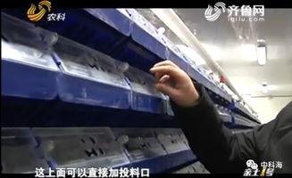 蟹公寓视频,揭秘现代都市中的温馨家园