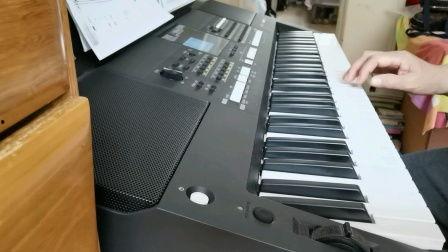 电子琴紫竹调视频,传统韵味与现代旋律的完美融合