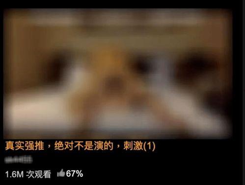 在哪里可以看到黄色视频,揭秘黄色视频的传播途径与防范措施
